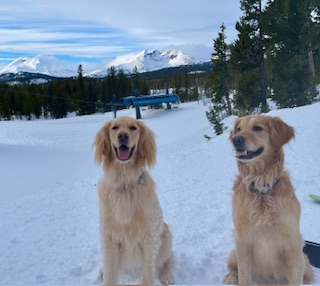 kzQD-psM B9tbI8yNJO8e0-5loJ9KSumEw